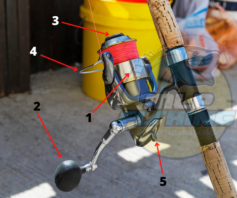 L'anatomie d'un moulinet de pêche spinning (moulinet à tambour fixe)