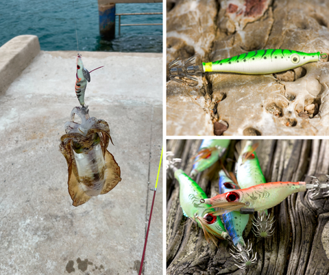 Meilleurs leurres de pêche : leurres turluttes