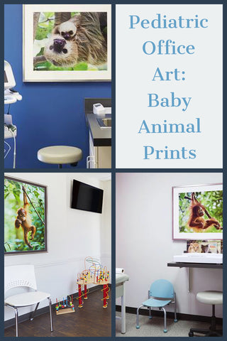 Pediatric Office Art - order from BabyAnimalPrints.com