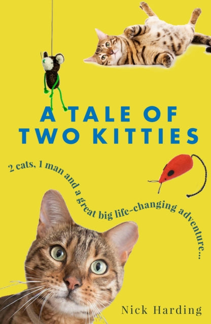Tale of Two Kitties: Two cats, one man and a great big life-changing adventure