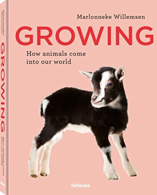 Growing: How animals come into our world
