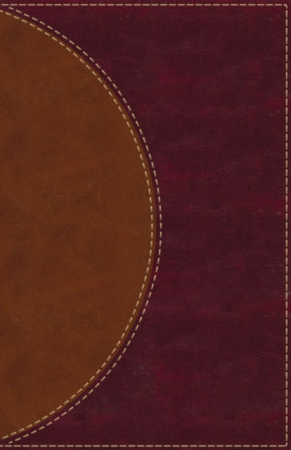 Amplified Reading Bible, Leathersoft, Brown, Thumb Indexed: A Paragraph-Style Amplified Bible for a Smoother Reading Experience