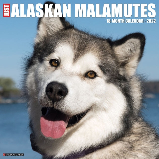 Just Alaskan Malamutes 2022 Wall Calendar (Dog Breed)