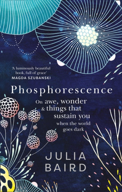 Phosphorescence: On Awe, Wonder & Things That Sustain You When the World Goes Dark