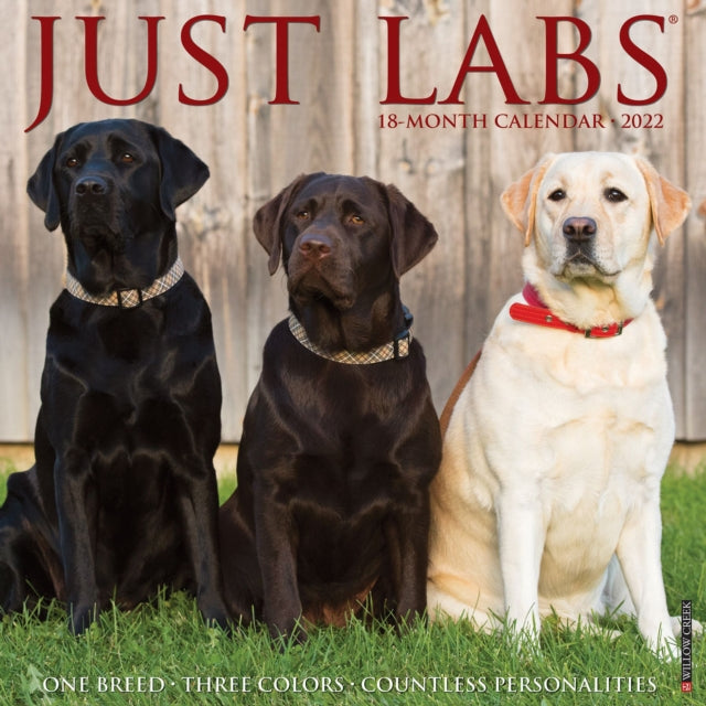Just Labs 2022 Wall Calendar (Labrador Retriever Dog Breed)