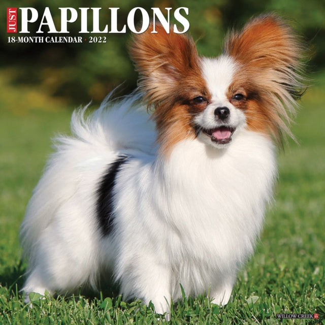 Just Papillons 2022 Wall Calendar (Dog Breed)