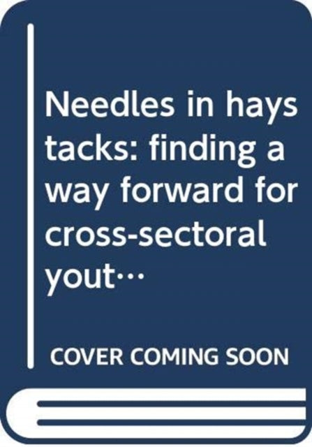 Needles in haystacks: finding a way forward for cross-sectoral youth policy