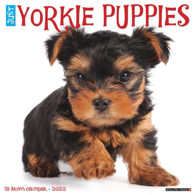 Just Yorkie Puppies 2022 Wall Calendar (Dog Breed)