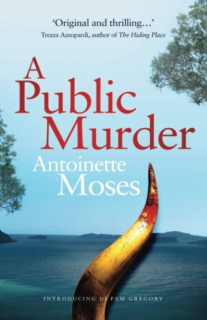 Public Murder: Introducing DI Pam Gregory
