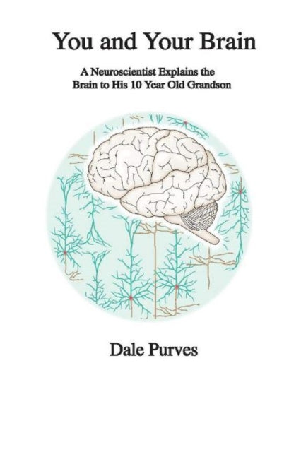 You and Your Brain: A Neuroscientist Explains the Brain to His 10 Year Old Grandson