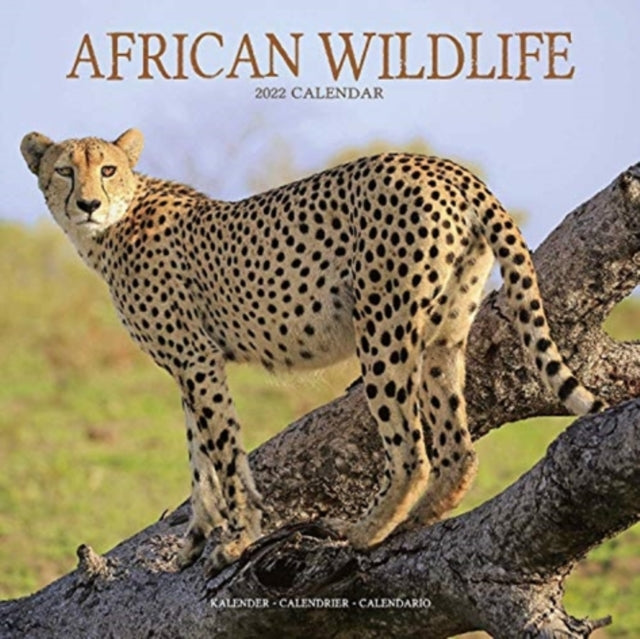 African Wildlife 2022 Wall Calendar