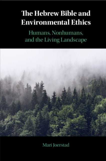 Hebrew Bible and Environmental Ethics: Humans, NonHumans, and the Living Landscape