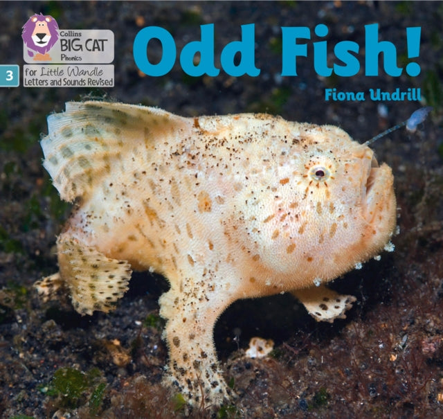 Odd Fish!: Phase 3