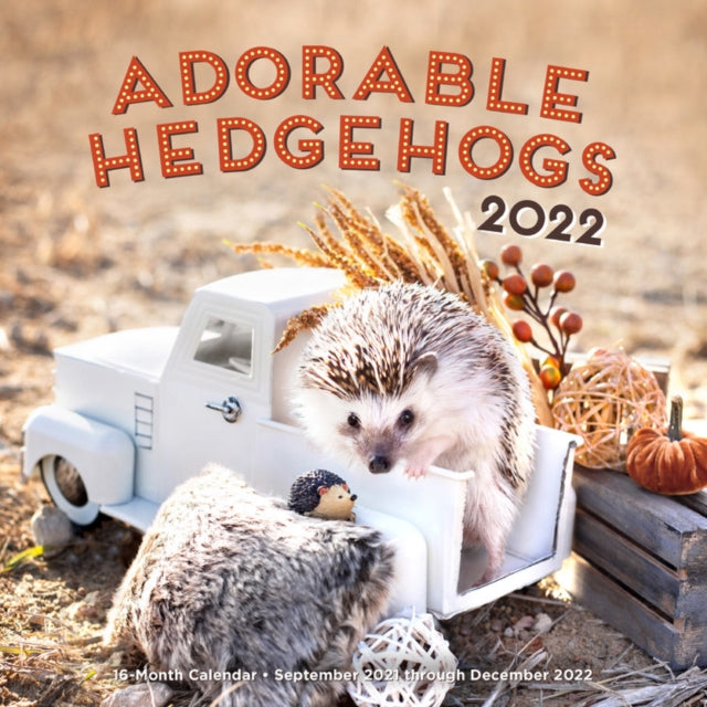 Adorable Hedgehogs 2022: 16-Month Calendar - September 2021 through December 2022