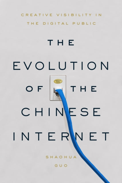 Evolution of the Chinese Internet: Creative Visibility in the Digital Public