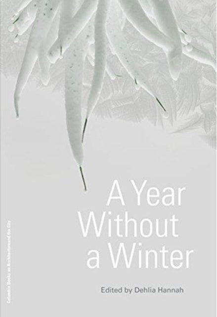 Year Without a Winter