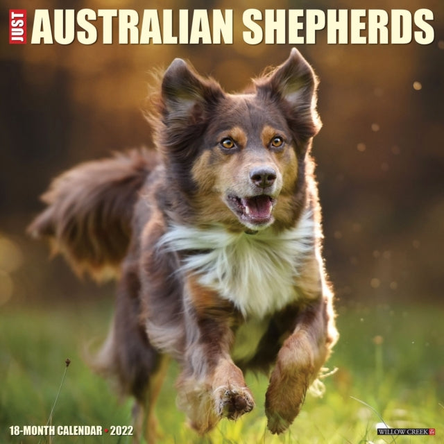 Just Australian Shepherds 2022 Wall Calendar (Dog Breed)