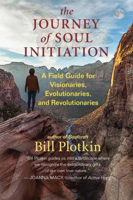 Journey of Soul Initiation: A Field Guide for Visionaries, Revolutionaries, and Evolutionaries