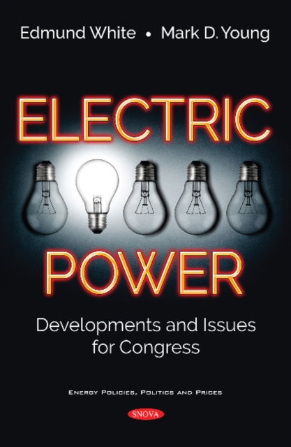 Electric Power: Developments and Issues for Congress