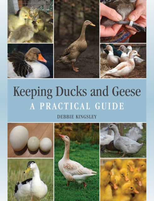 Keeping Ducks and Geese: A Practical Guide