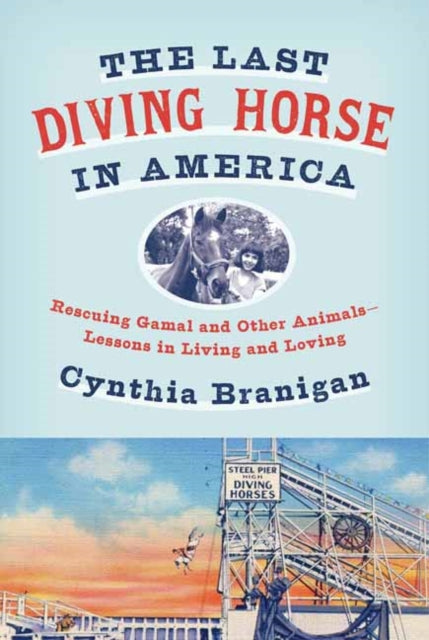 Last Diving Horse in America: Rescuing Gamal and Other Animals--Lessons in Living and Loving