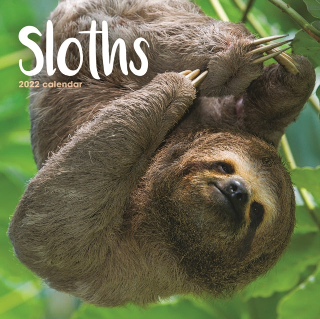 Sloths Mini Square Wall Calendar 2022