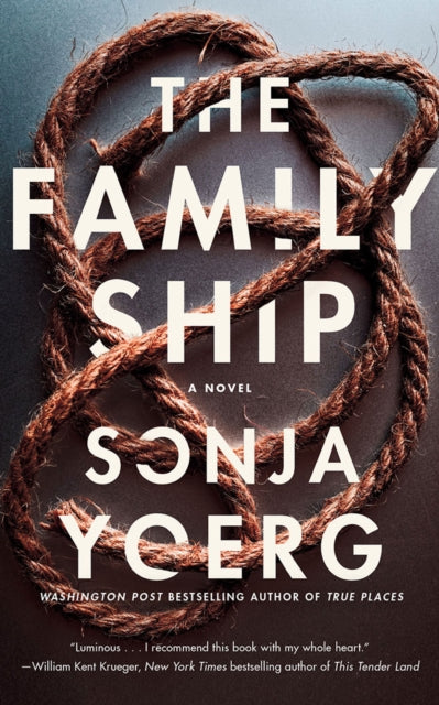 Family Ship: A Novel