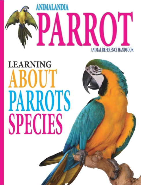 Animalandia Parrot: Learning About Parrot Species