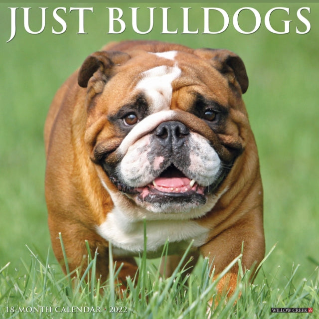 Just Bulldogs 2022 Wall Calendar (Dog Breed)