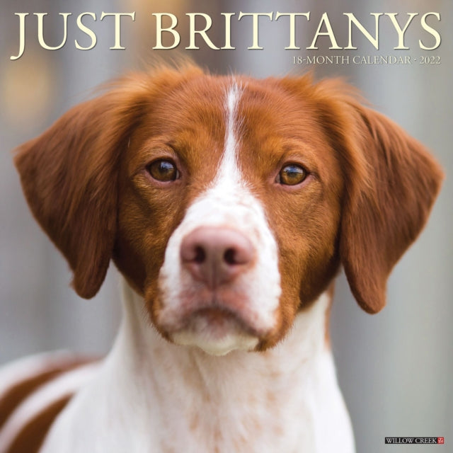 Just Brittanys 2022 Wall Calendar (Dog Breed)