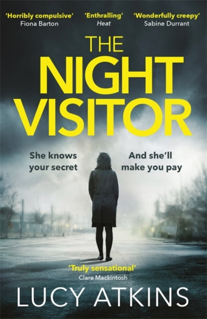 Night Visitor: the gripping thriller from the author of Magpie Lane