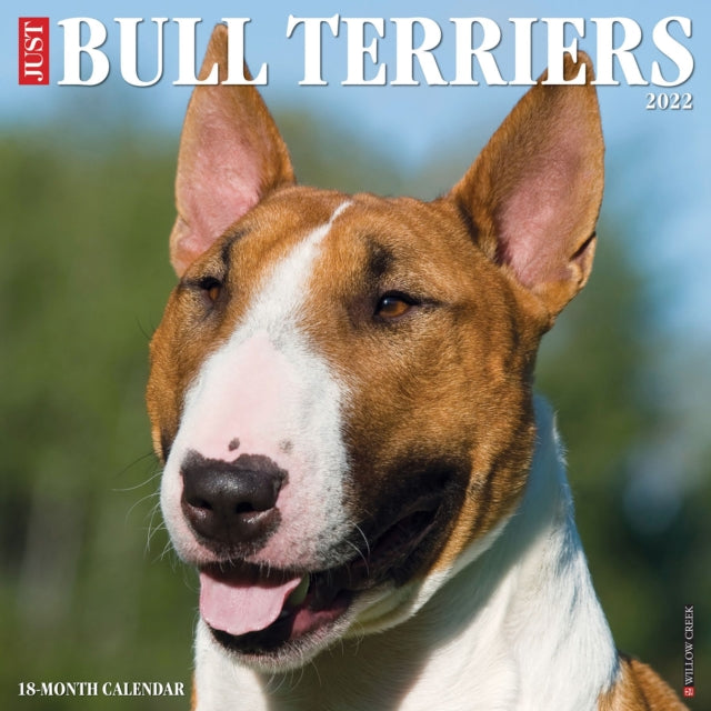 Just Bull Terriers 2022 Wall Calendar (Dog Breed)