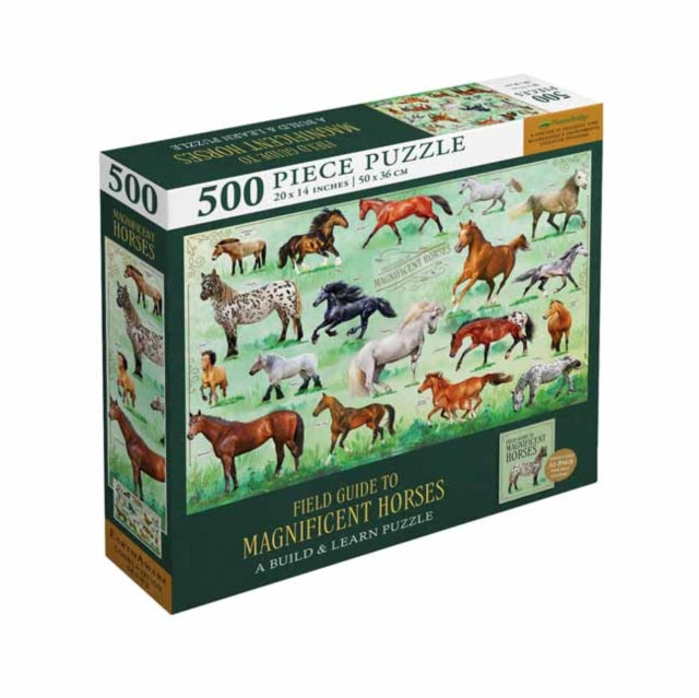 Field Guide to Magnificent Horses
