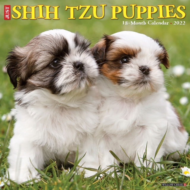 Just Shih Tzu Puppies 2022 Wall Calendar (Dog Breed)