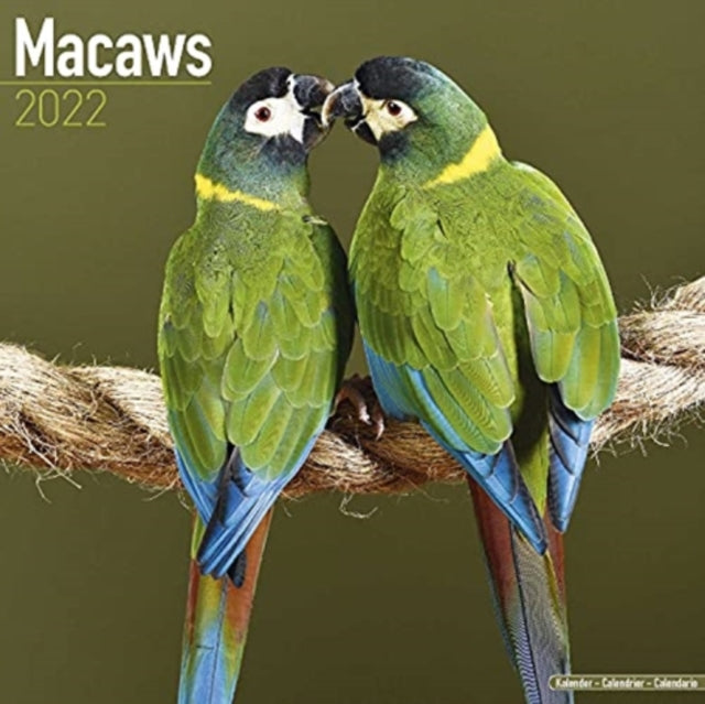 Macaws 2022 Wall Calendar