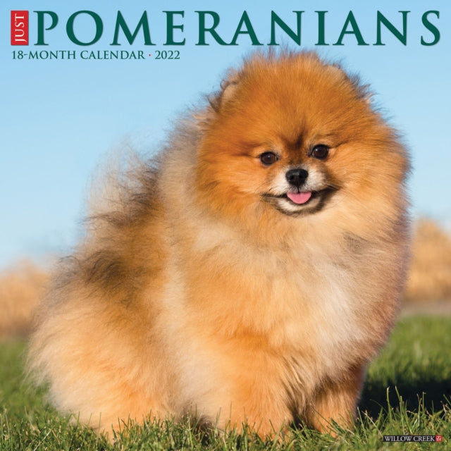 Just Pomeranians 2022 Wall Calendar (Dog Breed)