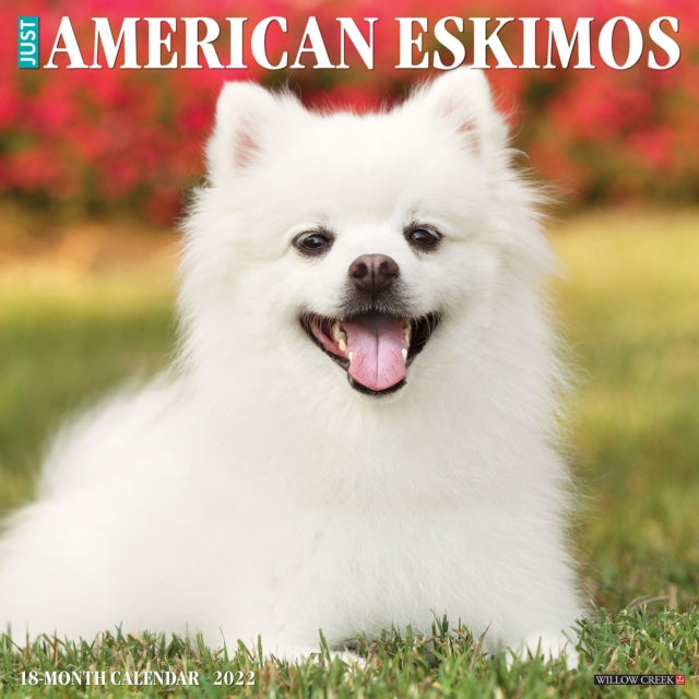 Just American Eskimos 2022 Wall Calendar (Dog Breed)