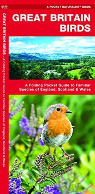 Great Britain Birds, 2nd Edition: A Folding Pocket Guide to Familiar Species of England, Scotland & Wales