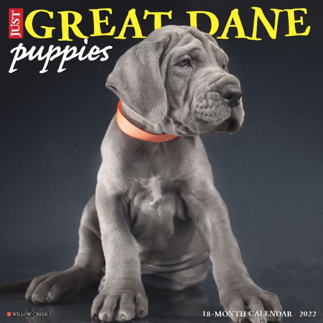 Just Great Dane Puppies 2022 Wall Calendar (Dog Breed)