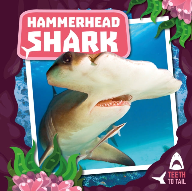 Hammerhead Shark: Teeth to Tail