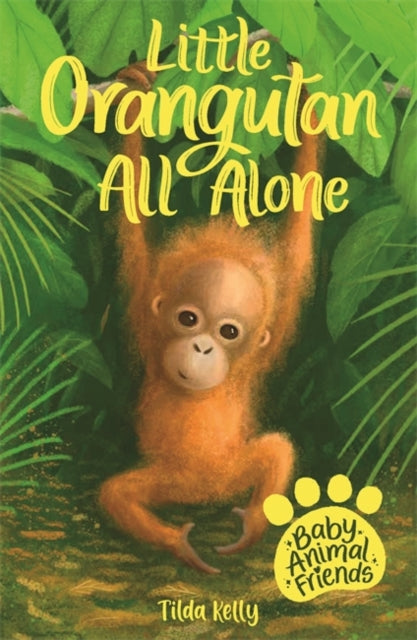 Baby Animal Friends: Little Orangutan All Alone: Book 3