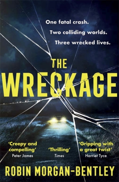 Wreckage: The gripping new thriller that everyone is talking about
