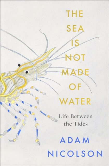 Sea is Not Made of Water: Life Between the Tides