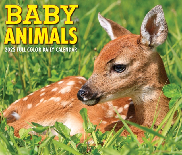 Baby Animals 2022 Box Calendar, Daily Desktop