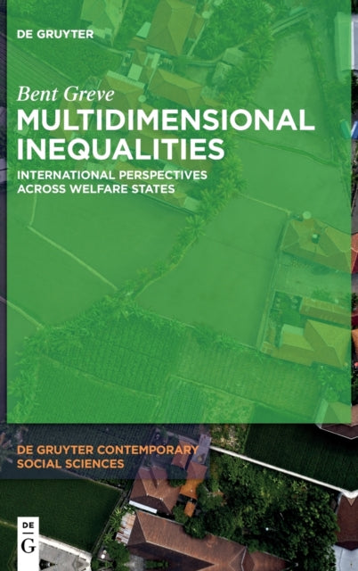 Multidimensional Inequalities: International Perspectives Across Welfare States