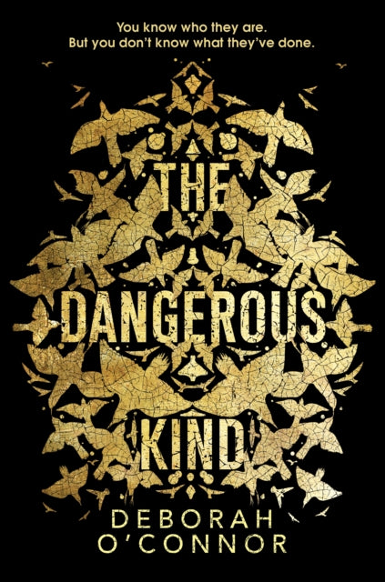 Dangerous Kind: The thriller that will make you second-guess everyone you meet