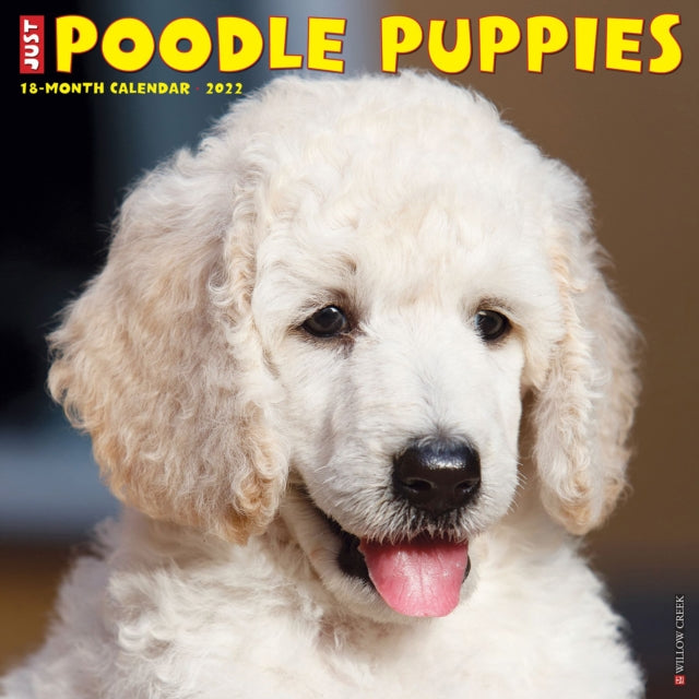 Just Poodle Puppies 2022 Wall Calendar (Dog Breed)