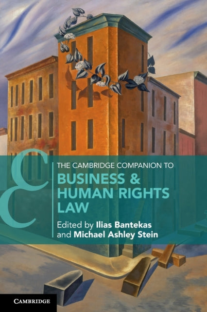 Cambridge Companion to Business and Human Rights Law