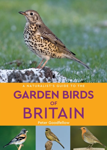 Naturalist's Guide to the Garden Birds of Britain (2nd edition)
