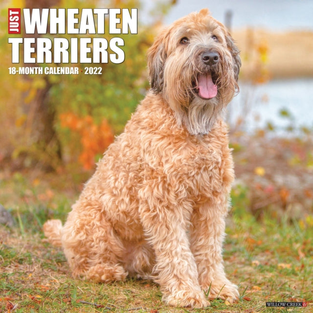 Just Wheaton Terriers 2022 Wall Calendar (Dog Breed)
